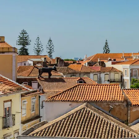 Downtown Nº97b شقة