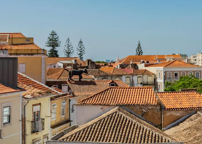 Downtown Nº97b شقة